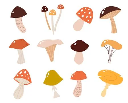 Set of mushrooms in a flat style. Vector illustration of different types of Stock Illustration