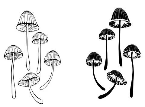 Set of mushrooms toadstools Stock Illustration