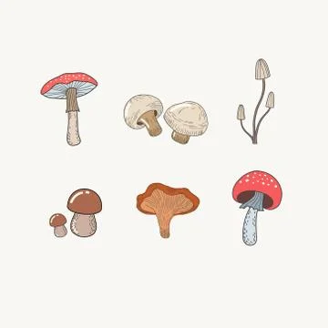 Set of mushrooms. Vector color illustration of mushrooms in doodle style. Eng Stock Illustration