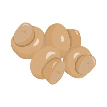 Set of Mushrooms. Vector illustration Stock Illustration