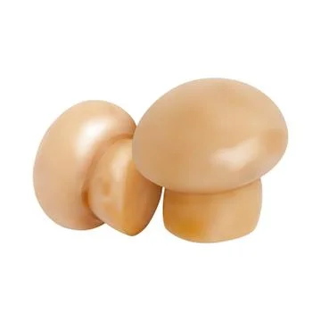 Set of Mushrooms. Vector illustration Stock Illustration