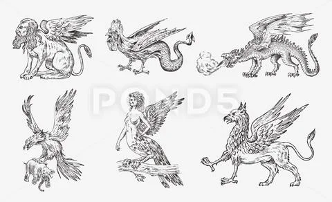 Set of Mythological animals. Chinese dragon Harpy Sphinx Griffin Mythical Stock Illustration