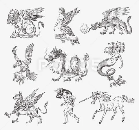 Set of Mythological animals. Mermaid Minotaur Unicorn Chinese dragon Cerberus Stock Illustration