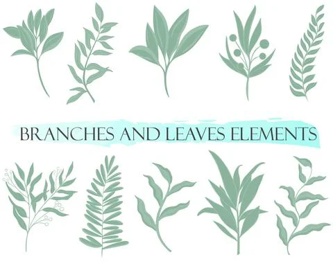 Set of natural botanical elements vector. Green branches, design elements. Illustrazione stock