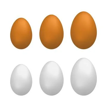 Set of natural eggs. Stock Illustration