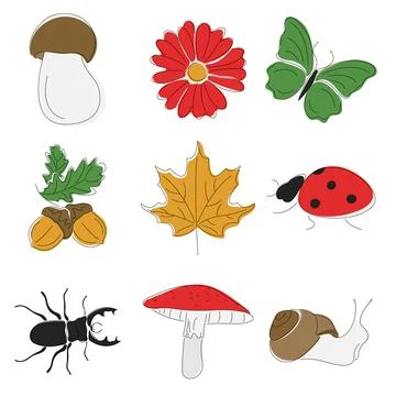 Set of natural elements. Vector illustration of plants and forest animals. 스톡 일러스트