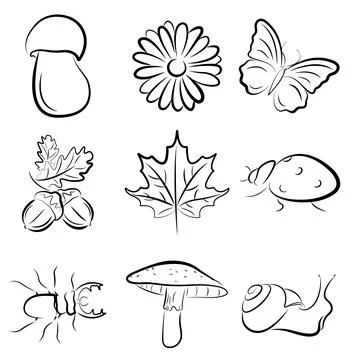 Set of natural elements. Vector illustration of plants and forest animals. Stock Illustration