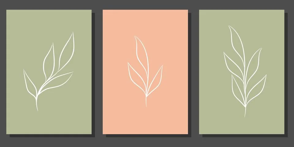 Set of natural posters with botanical elements. Minimal design Stock Illustration
