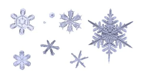 Set of natural snowflakes isolated on white background macro closeup Stock Photos