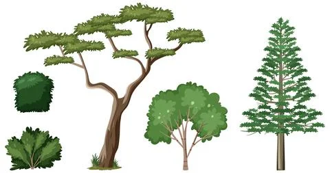 Set of nature forest elements Stock Illustration