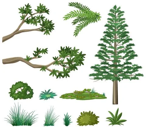 Set of nature forest elements Stock Illustration