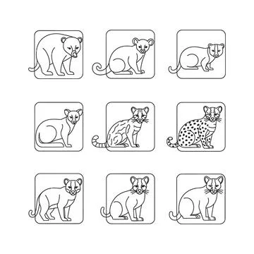 A set of nine black and white line drawings of various cat species in diffe.. 스톡 일러스트