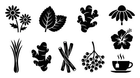 Set of nine black and white icons representing various natural herbal remed.. Stock Illustration