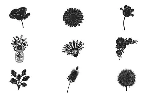 Set of nine black and white flower silhouettes on a clean white background .. Stock Illustration