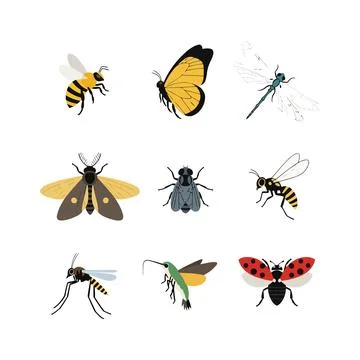 A set of nine cartoon insects on a including a bee, butterfly, and dragonfly Stock Illustration