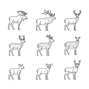 A set of nine different deer line drawings Stock Illustration