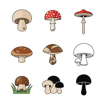 A set of nine different mushroom illustrations in various colors and styles Stock Illustration