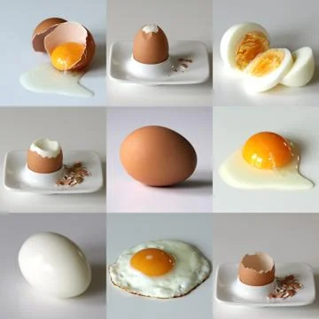 Set of nine eggs in various situation - sliced, boiled, fried, coocked Stock Photos
