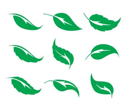 Set of nine green leaves vector icon on a white background. Elements for eco, Stockillustratie
