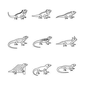 A set of nine lizard illustrations in various poses and styles Stock Illustration