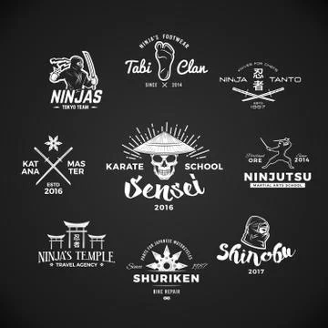 Set of Ninjutsu Logo. Sensei skull t-shirt illustration concept on gray Stock Illustration