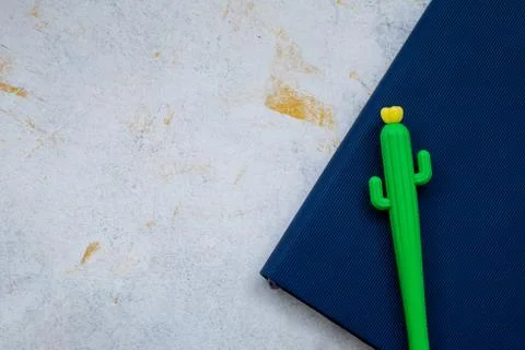Set of notebooks for notes and pens, succulent, cactus on a grey background Stock Photos