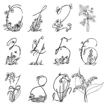 Set of numbers with flowers Illustrazione stock