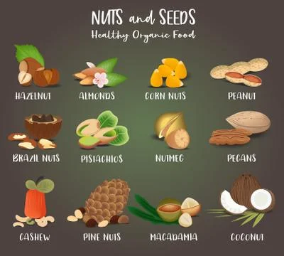 Set of Nut food grains and seeds. Stock Illustration