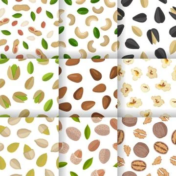 Set of Nuts and Seeds Seamless Pattern Illustrazione stock