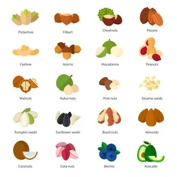 Set of Nuts icons flat vector illustration Stock-Illustration