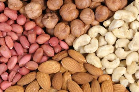 Set of nuts Stock Photos