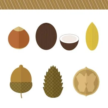 Set of nuts. Vector elements for design Stock Illustration