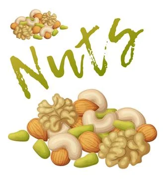 Set of nuts vector icon isolated on white background, almond, cashew, walnut Stock Illustration