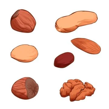 Set of nuts vector Stock Illustration