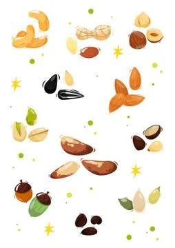 Set nuts. Vector Stock Illustration