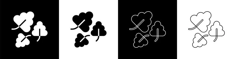 Set Oak leaf icon isolated on black and white background.  Vector Stock Illustration