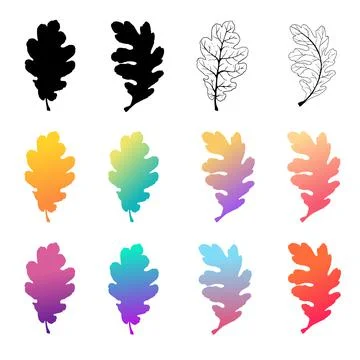 Set of oak leaves in different gradient colors. Trendy colors. On an isolated Illustrazione stock