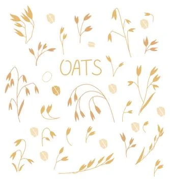 Set of oats in a flat style Isolated on a white background. Oat illustration Stock Illustration
