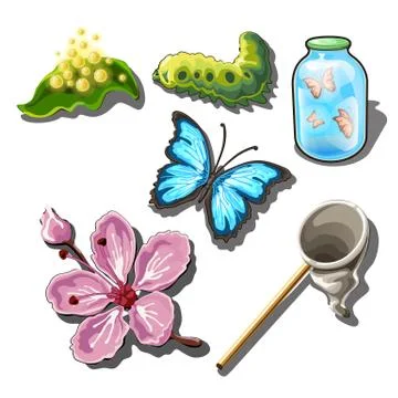 The set of objects on the subject of catching butterflies isolated on white Stock Illustration