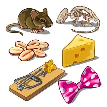 The set of objects on the subject of catching mice. Vector illustration. Stock Illustration