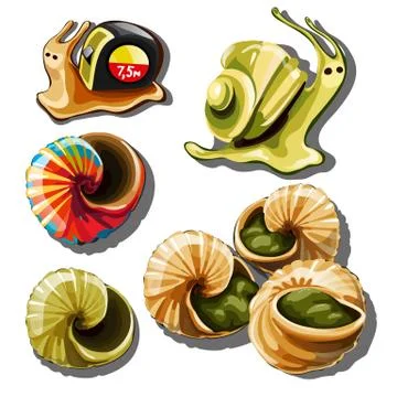 The set of objects on the subject of snails isolated on white background. Vector Stock Illustration