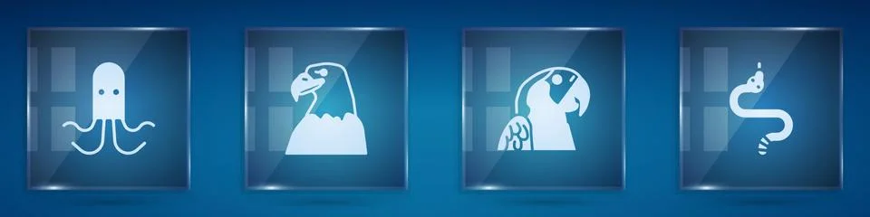 Set Octopus, Eagle head, Macaw parrot and Snake. Square glass panels. Vector Stock Illustration