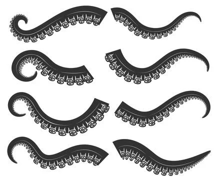 Set of octopus, squid tentacles  in engraving style. Design element for logo, Stockillustratie