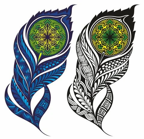 Set og peackok feathers. Vector llustration. Stock Illustration