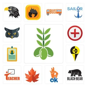Set of olive, black bear, ok, maple leaf, teacher, , id card, image cross, ic 무료 스톡 일러스트