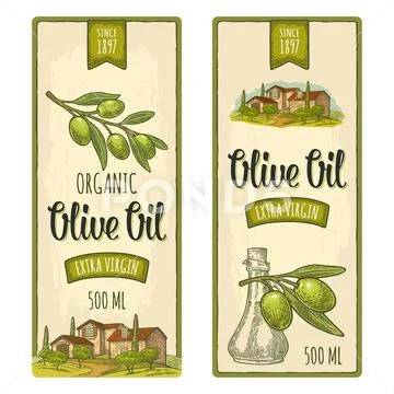 Set olive. Bottle glass, branch with leaves, rural landscape villa Stock Illustration