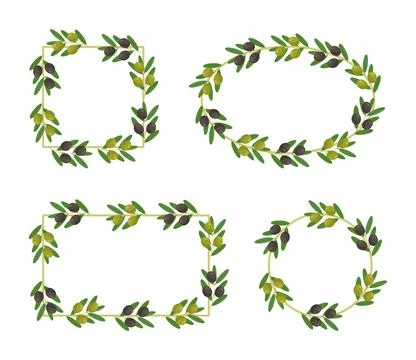 Set of olive branch frames in circle, oval, square, and rectangle shapes Stock Illustration