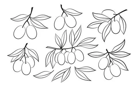 Set of Olive Pictograms Stock Illustration