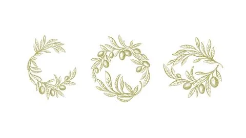 Set olive wreath in circle. Vector branch of tree Stock Illustration