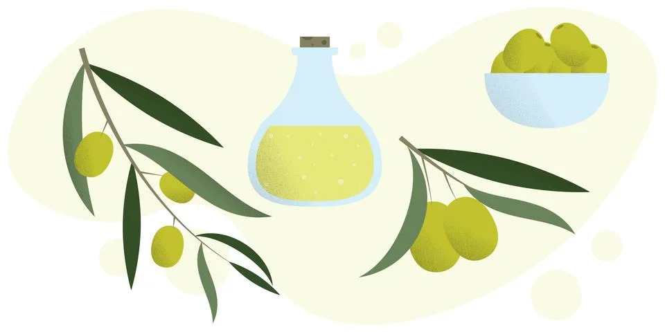 A set of olives. Vector set of olives. Stock Illustration
